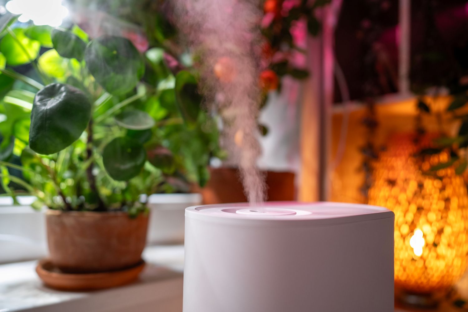 air humidifier